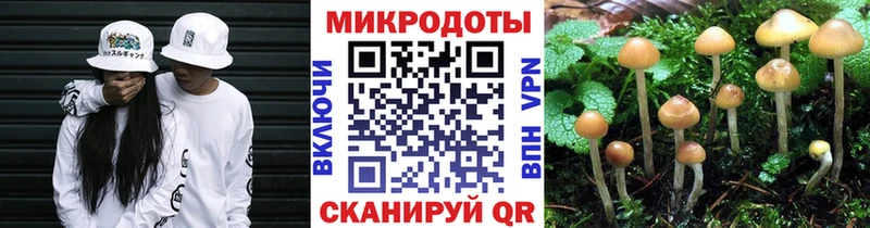 наркотики  Оса  Псилоцибиновые грибы MAGIC MUSHROOMS 